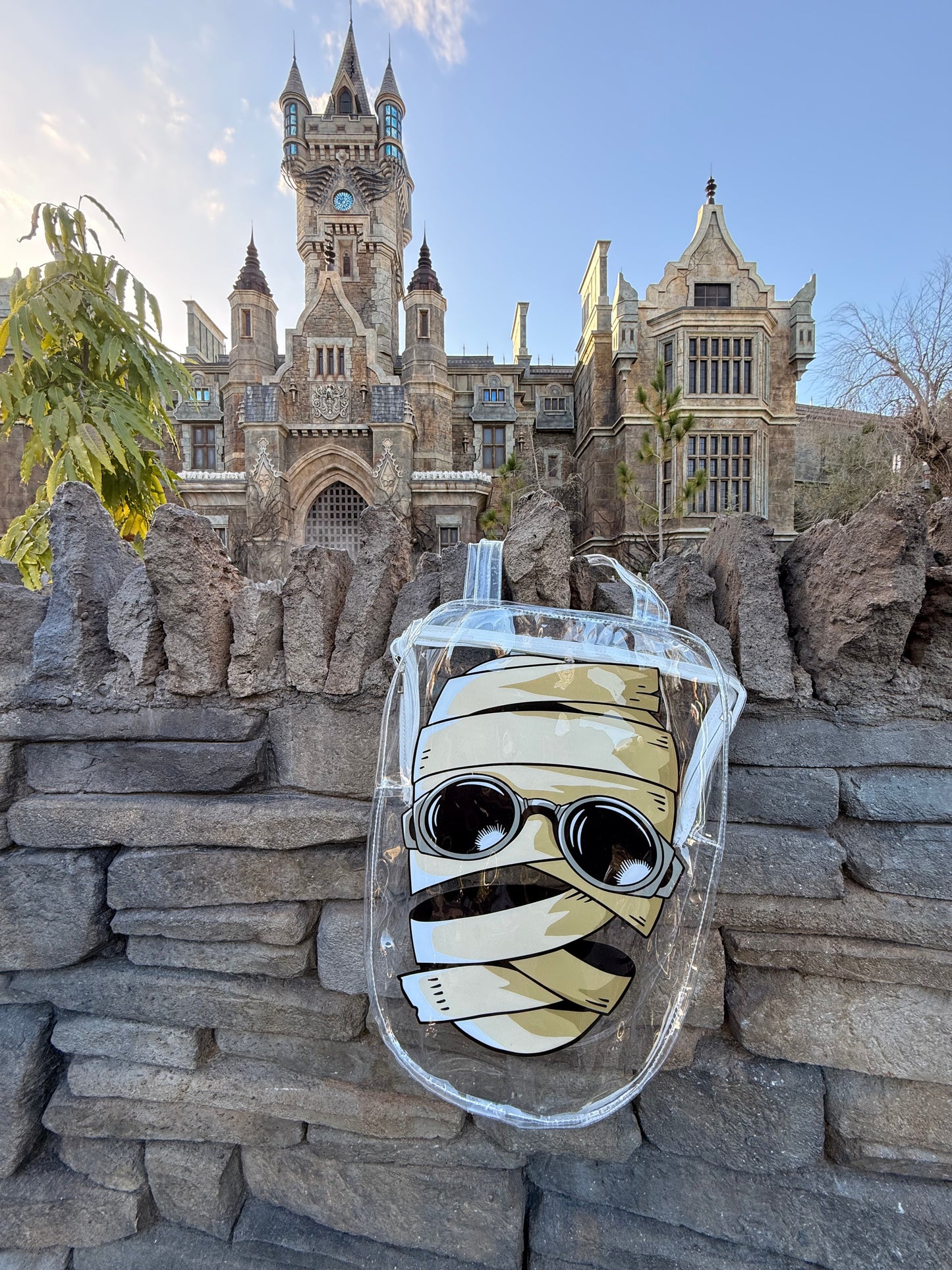 See Thru Freak Vinyl Bag